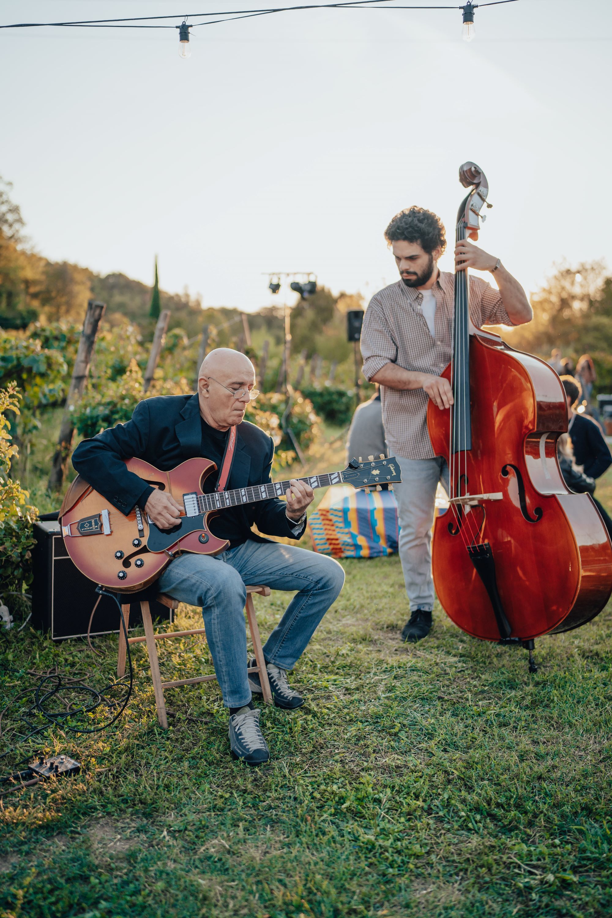 Chitarra e contrabbasso di giorno tra i filari